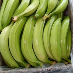 Fresh Banana- 1 Box